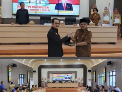 Wabup Khristianto Yudha Sambut Kunjungan Komite I DPD-RI Di Barito Selatan