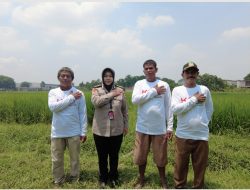 Gagasan Visioner Kombes Pol Budi Purwatiningsih: Sistem Manajemen Pengetahuan untuk Keamanan Pangan Nasional